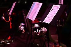 voorjaarsconcert Harmonie vorden  (23)