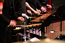 voorjaarsconcert Harmonie vorden  (62)